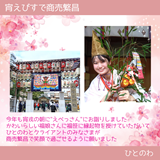 宵戎で商売繁昌祈願